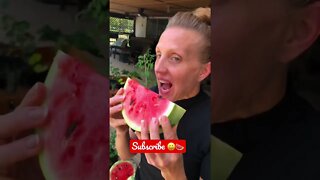 Missing the Summer Vibe? 😀🍉❤️ #trending #shorts #viral #tiktok #garden