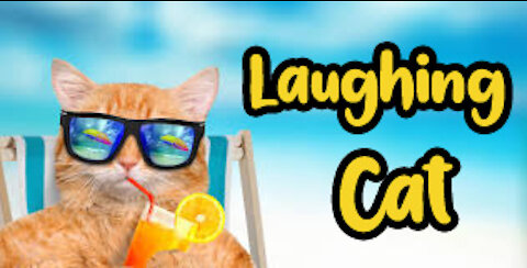 Try Not To Laugh Laughing Cat Video ✪ 2021