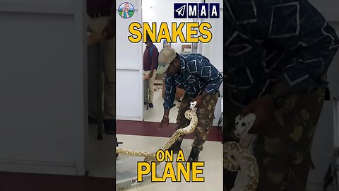 Snakes on a plane is real in India