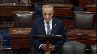 Democrat Chuck Schumer Calls For New Elections In Israel