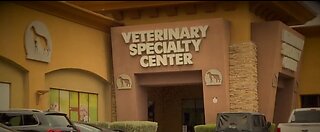 Las Vegas family has lingering questions about their dog's care at prominent Las Vegas vet clinic
