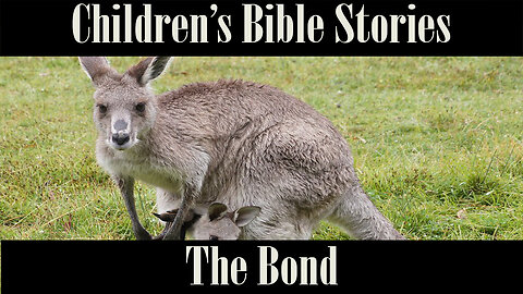 Children’s Bible Stories-The Bond