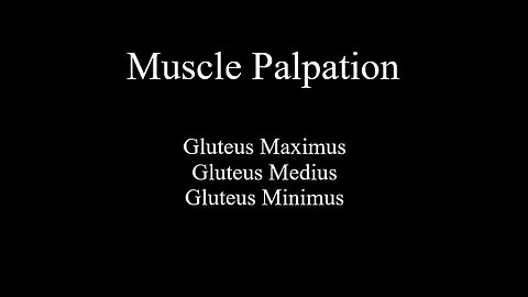 Muscle Palpation - Gluteal Group (Gluteus Maximus - Gluteus Medius - Gluteus Minimus)