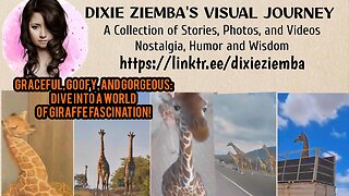 Graceful, Goofy, and Gorgeous: Dive into a World of Giraffe Fascination!