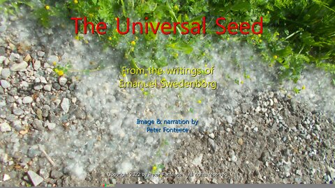 The Universal Seed