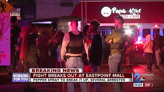 Several teens arrested after fight breaks out at Eastpoint Mall in Dundalk