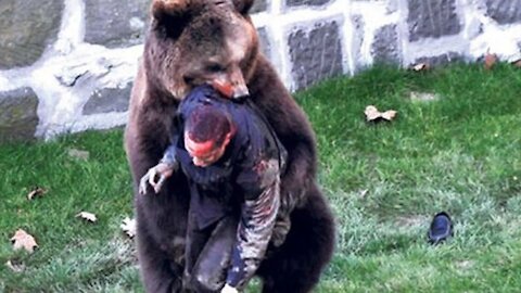 UNBELIEVABLE Bear Attacks & Interactions CAUGHT ON CAMERA!