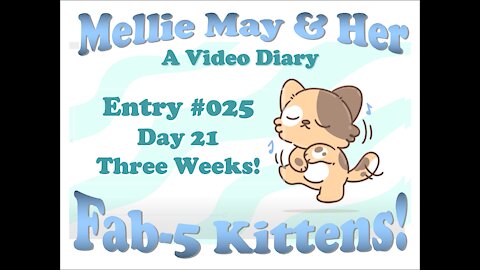 Video Diary Entry 025: I Don't Want Them to Grow Up! - Day 21 (3 Weeks)