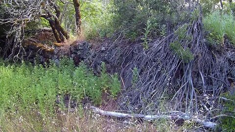 Waterwheel Creek Trail - Trail, Return Visit