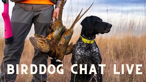 Pheasant Hunting Stories - Bird Dog Chat With Ethan And Kat