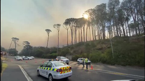 WATCH: Cape Town firefighters battle blaze moving towards Lion's Head (c8j)