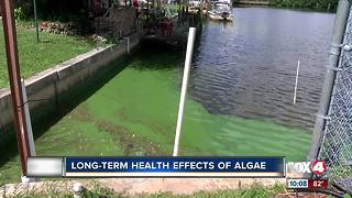 Algae could cause liver problems