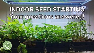 Starting Seeds Indoors | Your Questions Answered!