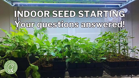 Starting Seeds Indoors | Your Questions Answered!