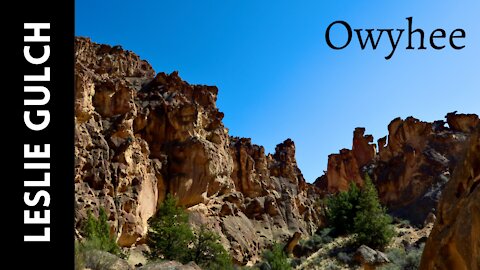 Leslie Gulch, Owyhee