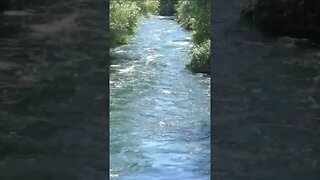 High Flow River #shorts