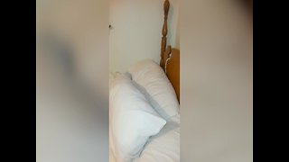 Silly Dog gets Stuck in Pillowcase