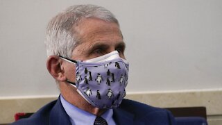 Fauci: Trump, Pence, Biden And Harris Should Get Vaccinated