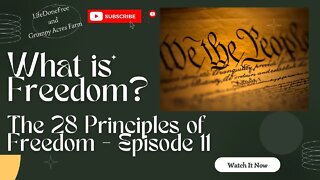 What is Freedom? 28 Principles of Freedom - Episode 11