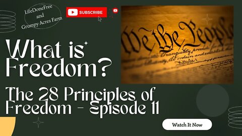 What is Freedom? 28 Principles of Freedom - Episode 11