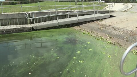 Treatment reduces toxic algae levels in Martin County