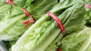 More Dead In E. Coli Outbreak Linked To Romaine Lettuce