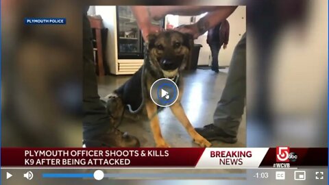 Plymouth Police Officer Shoots His 2 Year Old Dog Muffy - Fear & Officer Safety - Tough Blue Heroes