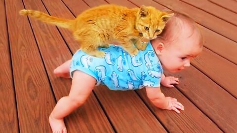 Funniest Baby And Cat Are Best Friends - Cute Babies and Cats Videos 2022