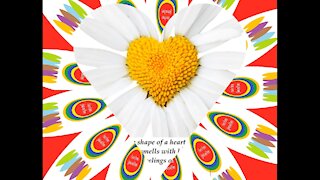 I send you this daisy in the shape of heart, smells with love and passion! [Quotes and Poems]