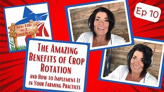 The Amazing Benefits of Crop Rotation & How to Implement It in Your Farming Practices #croprotation