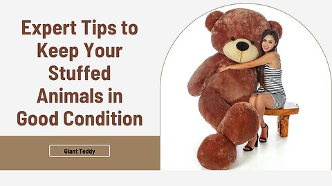 Expert Tips to Keep Your Stuffed Animals in Good Condition