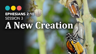 Ephesians 2:10: Session 3: A New Creation @ Riverside Bible Camp
