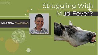 Is your horse struggling with mud fever?