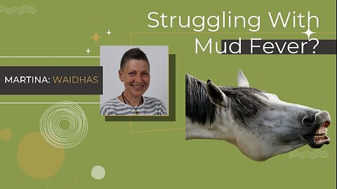 Is your horse struggling with mud fever?