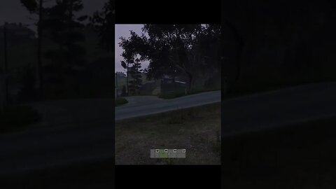 I Got My First Kill After Five Months Of Playing DayZ