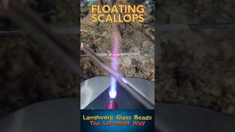 Lampwork Glass Beads: Floating Scallops