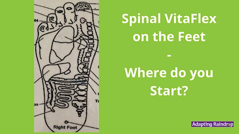 Spinal VitaFlex on the Feet - Where to Start