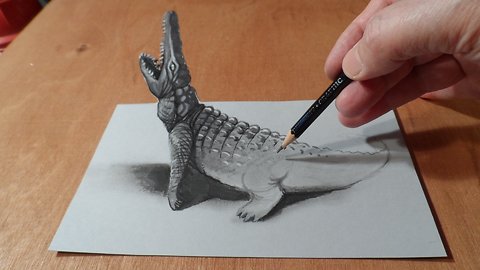 How to Draw Crocodile - Drawing 3D Crocodile - 3D Trick Art