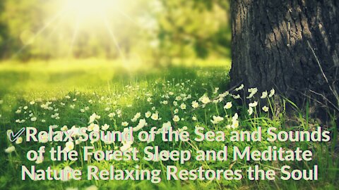 ✅Relax: Sound of the Sea and Sounds of the Forest - Sleep and Meditate 2021