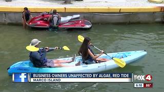 Marco Island dodges algae and red tide