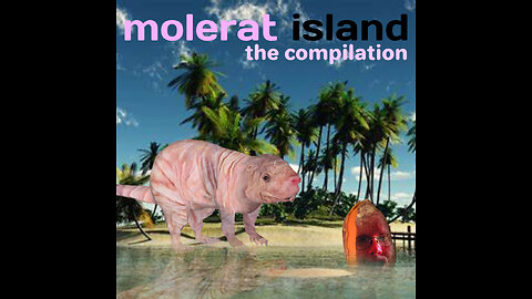 Homecooke Records Presents - Molerat Island
