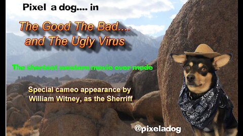 Pixel a dog...The Good The Bad and The Ugly VIRUS