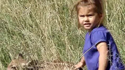 PURE INNOCENCE! A 3 YEAR OLD AND BABY DEER! ADORABLE! This will pull at your heart strings!