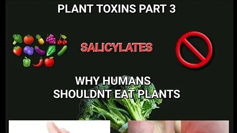Plant Toxins Part 3: SALICYLATES | Why humans shouldn't eat plants #carnivorediet #salicylates