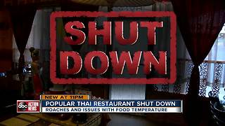 Dirty Dining: Thai Cuisine shut down twice in March for 'too many roaches to count' in the kitchen