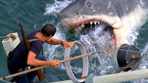 Shark fish Movie very dangerous attack Adventures