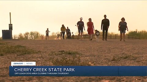 Off-leash dog area at Cherry Creek State Park closing for 4 days