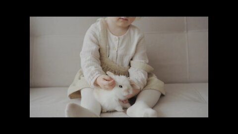 baby feeding a rabbit