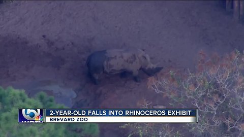 Toddler hurt falling into rhino exhibit at zoo in Brevard County