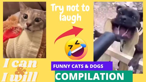 Best Funny Animal Videos 2022 😂 - Best Compilation Of Cats And Dogs Videos #Top 10 #funny videos #10